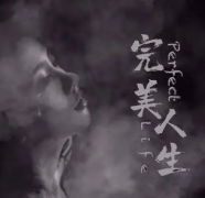 《完美人生》