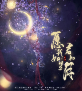 《愿我如星君如月》