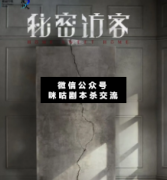 <b>《秘密访客》</b>