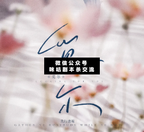 觅尔剧本杀
