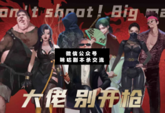 <b>《大佬别开枪》</b>
