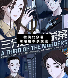 三分之一谋杀案剧本杀复盘