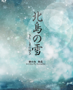 北岛的雪剧本杀复盘答案测评_机制规则_真相结局演绎攻略