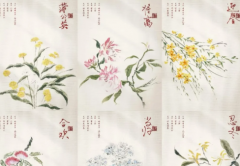 <b>红豆2:月光剧本杀复盘测评_机制规则_线索答案_完整剧情CP揭秘</b>