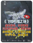 <b>飞蛾鸣唱之地剧本杀叙事结构复盘解析：细碎推理如何拼凑完整世界观？</b>