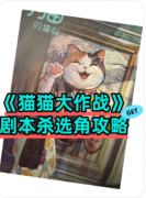 <b>《猫猫大作战》剧本杀复盘解析：萌宠迷局全拆解，真凶身份终极曝光！</b>
